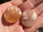 Polished  Mini Ocean  Flower Agate Palm Stones  x 35 From Madagascar - Toprock Gemstones and Minerals 