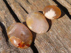 Polished  Mini Ocean  Flower Agate Palm Stones  x 35 From Madagascar - Toprock Gemstones and Minerals 