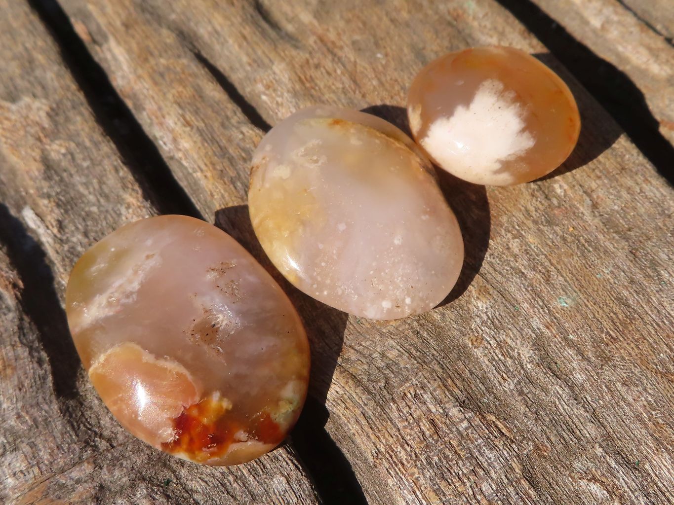 Polished  Mini Ocean  Flower Agate Palm Stones  x 35 From Madagascar - Toprock Gemstones and Minerals 