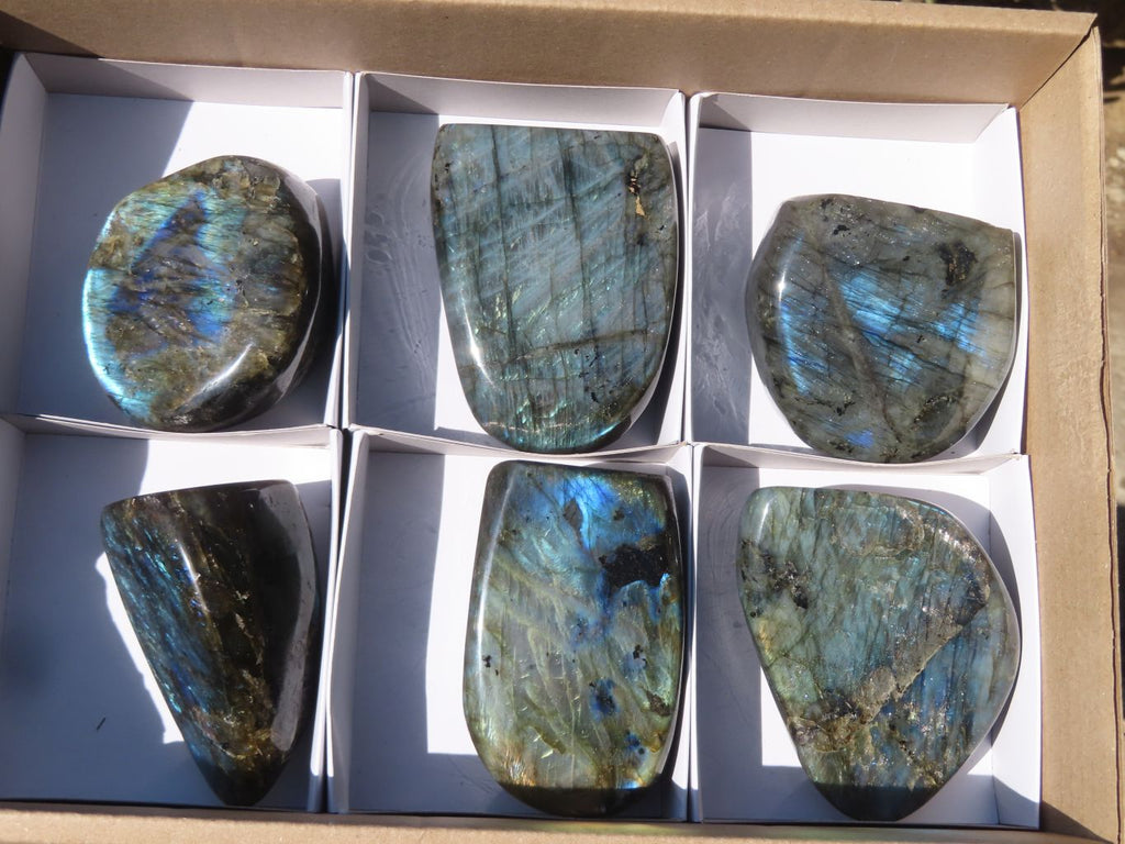 Polished Labradorite Standing Free Forms x 6 From Tulear, Madagascar - Toprock Gemstones and Minerals 