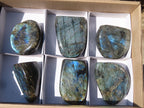 Polished Labradorite Standing Free Forms x 6 From Tulear, Madagascar - Toprock Gemstones and Minerals 