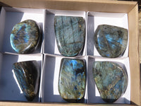 Polished Labradorite Standing Free Forms x 6 From Tulear, Madagascar - Toprock Gemstones and Minerals 