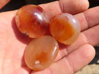 Polished  Mini Ocean  Flower Agate Palm Stones  x 35 From Madagascar - Toprock Gemstones and Minerals 