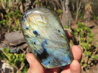 Polished Labradorite Standing Free Forms x 6 From Tulear, Madagascar - Toprock Gemstones and Minerals 
