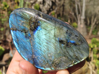 Polished Labradorite Standing Free Forms x 6 From Tulear, Madagascar - Toprock Gemstones and Minerals 