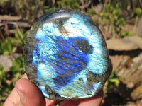 Polished Labradorite Standing Free Forms x 6 From Tulear, Madagascar - Toprock Gemstones and Minerals 