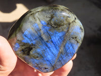 Polished Labradorite Standing Free Forms x 6 From Tulear, Madagascar - Toprock Gemstones and Minerals 