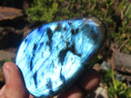 Polished Labradorite Standing Free Forms x 6 From Tulear, Madagascar - Toprock Gemstones and Minerals 
