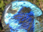 Polished Labradorite Standing Free Forms x 6 From Tulear, Madagascar - Toprock Gemstones and Minerals 