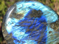 Polished Labradorite Standing Free Forms x 6 From Tulear, Madagascar - Toprock Gemstones and Minerals 