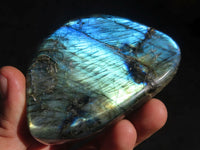 Polished Labradorite Standing Free Forms x 6 From Tulear, Madagascar - Toprock Gemstones and Minerals 