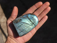 Polished Labradorite Standing Free Forms x 6 From Tulear, Madagascar - Toprock Gemstones and Minerals 