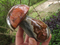 Polished Polychrome / Picasso Jasper Mushrooms  x 6 From Mahajanga, Madagascar - TopRock