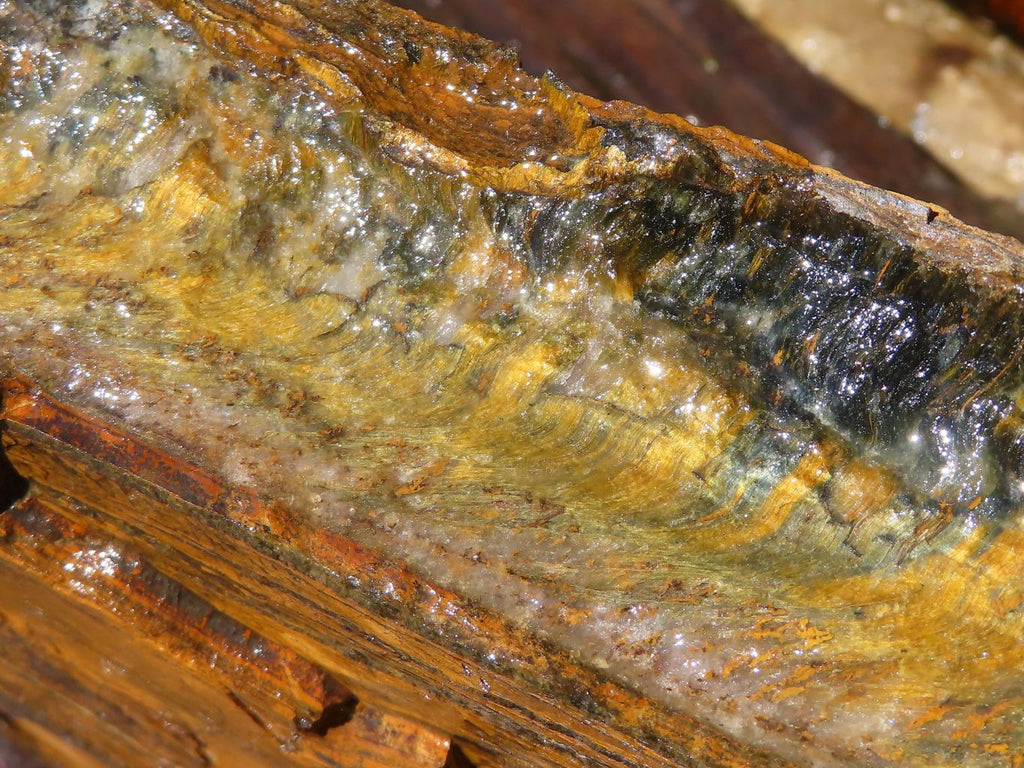 Natural Golden Blue Tigers Eye Specimen x 1 From Prieska, South Africa - TopRock