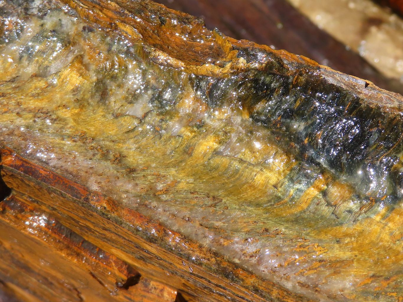 Natural Golden Blue Tigers Eye Specimen x 1 From Prieska, South Africa - TopRock