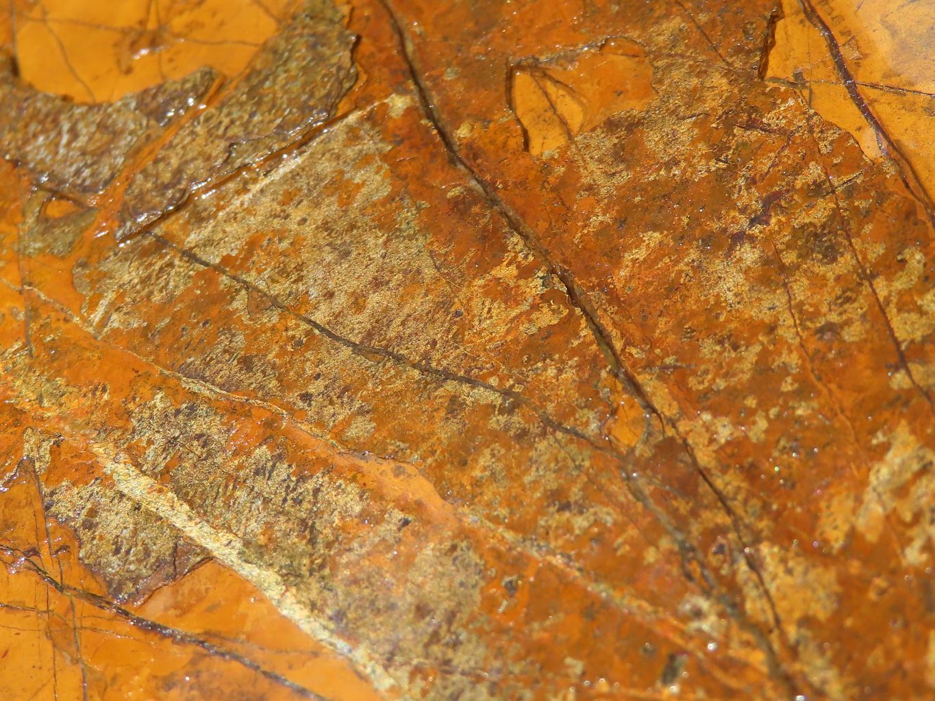 Natural Golden Blue Tigers Eye Specimen x 1 From Prieska, South Africa - TopRock