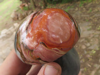 Polished Polychrome / Picasso Jasper Mushrooms  x 6 From Mahajanga, Madagascar - TopRock