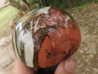 Polished Polychrome / Picasso Jasper Mushrooms  x 6 From Mahajanga, Madagascar - TopRock