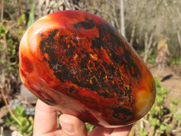 Polished Carnelian Agate Standing Free Forms  x 3 From Madagascar - Toprock Gemstones and Minerals 