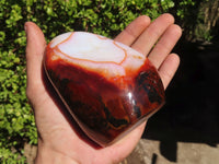 Polished Carnelian Agate Standing Free Forms  x 3 From Madagascar - Toprock Gemstones and Minerals 