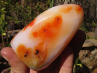 Polished Carnelian Agate Standing Free Forms  x 3 From Madagascar - Toprock Gemstones and Minerals 