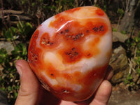 Polished Carnelian Agate Standing Free Forms  x 3 From Madagascar - Toprock Gemstones and Minerals 