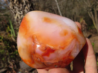 Polished Carnelian Agate Standing Free Forms  x 3 From Madagascar - Toprock Gemstones and Minerals 