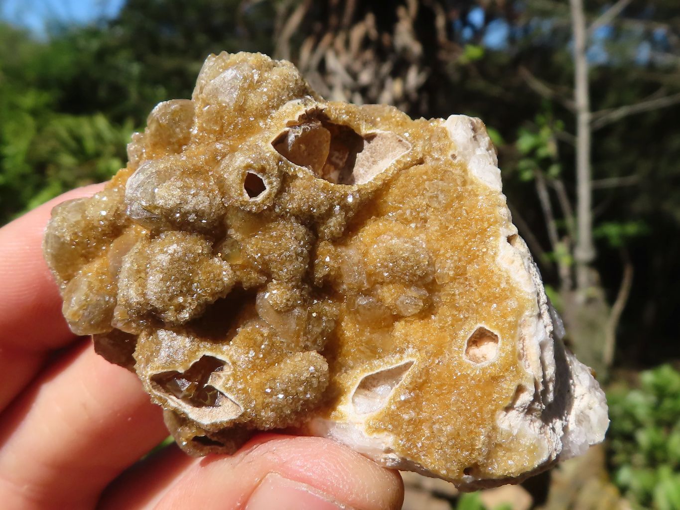 Natural Small Golden Lemonite / Limonite Quartz Clusters  x 35 From Zambia - Toprock Gemstones and Minerals 
