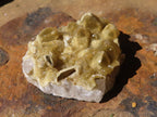 Natural Small Golden Lemonite / Limonite Quartz Clusters  x 35 From Zambia - Toprock Gemstones and Minerals 