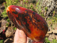 Polished Carnelian Agate Standing Free Forms  x 3 From Madagascar - Toprock Gemstones and Minerals 