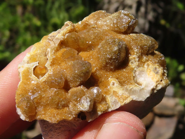 Natural Small Golden Lemonite / Limonite Quartz Clusters  x 35 From Zambia - Toprock Gemstones and Minerals 