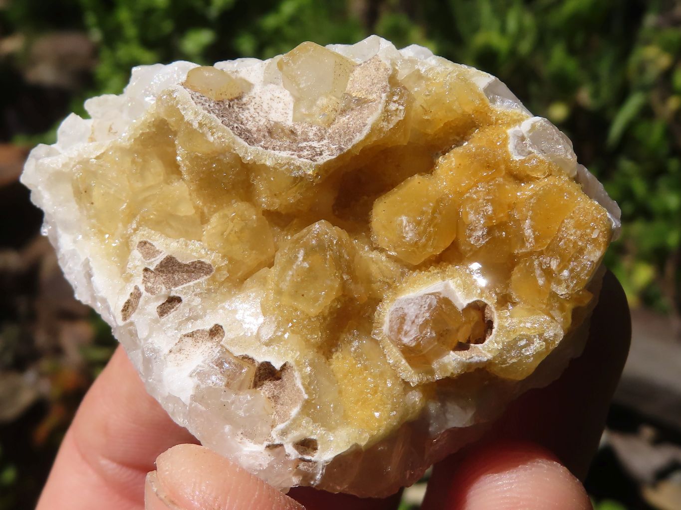 Natural Small Golden Lemonite / Limonite Quartz Clusters  x 35 From Zambia - Toprock Gemstones and Minerals 
