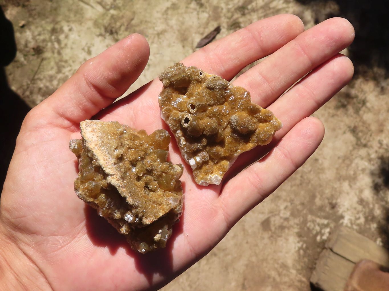 Natural Small Golden Lemonite / Limonite Quartz Clusters  x 35 From Zambia - Toprock Gemstones and Minerals 