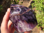 Polished Chevron Amethyst Point x 1 From Zambia - Toprock Gemstones and Minerals 