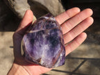 Polished Chevron Amethyst Point x 1 From Zambia - Toprock Gemstones and Minerals 