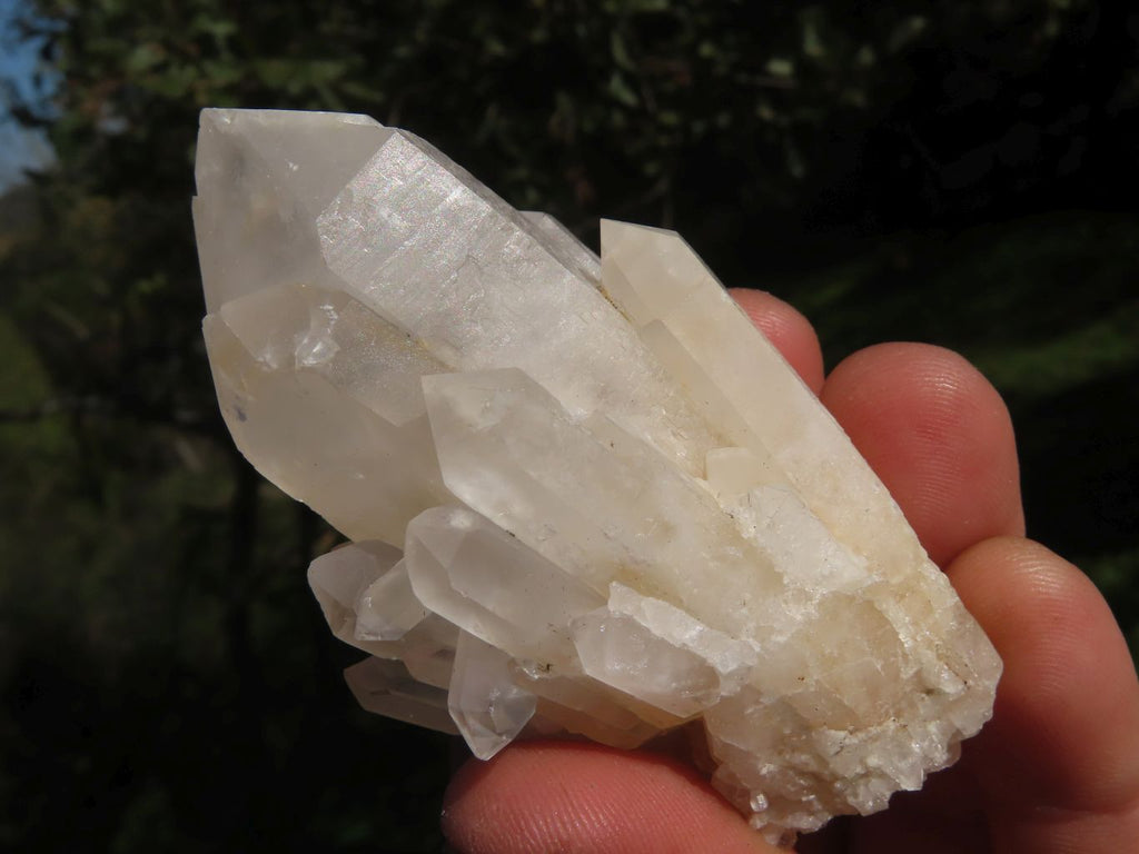 Natural Fairly Large Intact Quartz Crystals  x 12 From Madagascar - TopRock