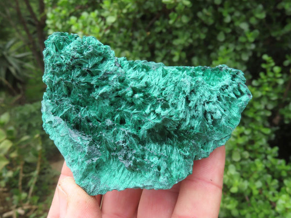 Natural Selected Chatoyant Silky Malachite Specimens x 4 From Kasompe, Congo - TopRock