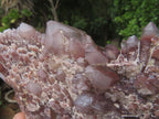Natural Red Hematoid Quartz Clusters x 4 From Karoi, Zimbabwe - TopRock