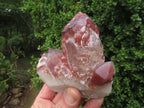 Natural Red Hematoid Quartz Clusters x 4 From Karoi, Zimbabwe - TopRock