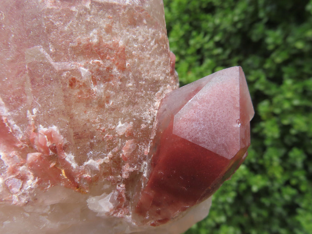 Natural Red Hematoid Quartz Clusters x 4 From Karoi, Zimbabwe - TopRock