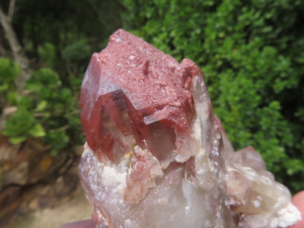 Natural Red Hematoid Quartz Clusters x 4 From Karoi, Zimbabwe - TopRock