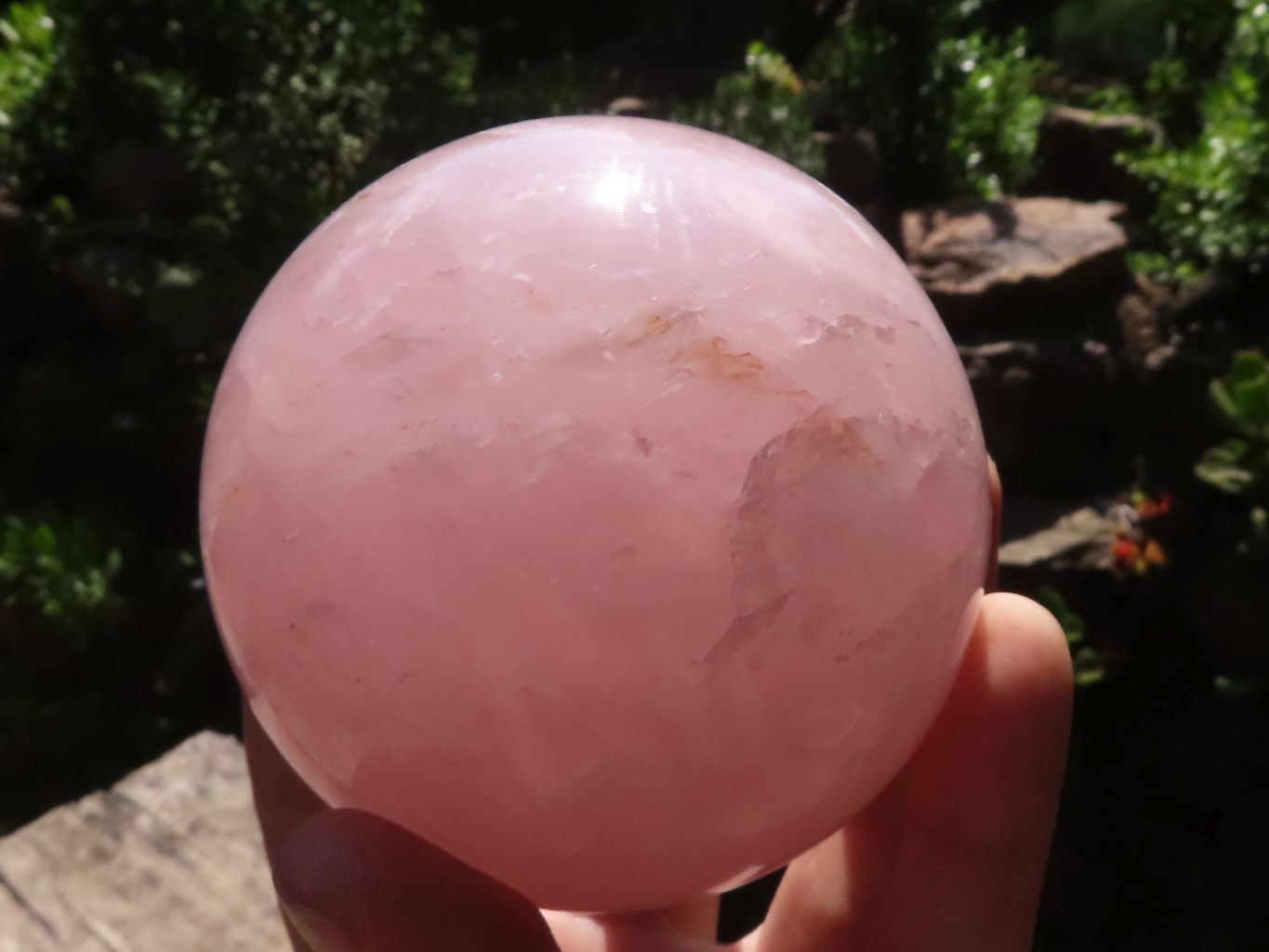 Polished Pink Rose Quartz Spheres x 3 From Madagascar - TopRock