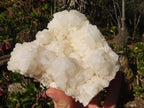 Natural "Cathedral Window" Candle Quartz Formations x 2 From Madagascar - Toprock Gemstones and Minerals 