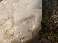 Natural "Cathedral Window" Candle Quartz Formations x 2 From Madagascar - Toprock Gemstones and Minerals 