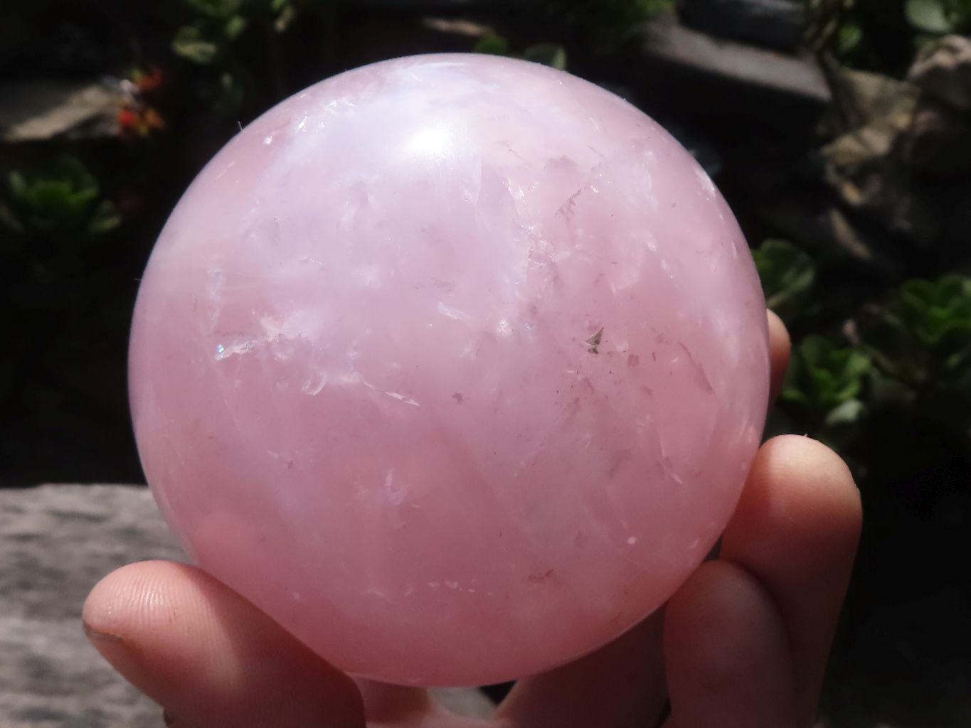 Polished Pink Rose Quartz Spheres x 3 From Madagascar - TopRock