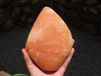 Polished Large Orange Twist Calcite Standing Free Form x 1 From Madagascar - TopRock