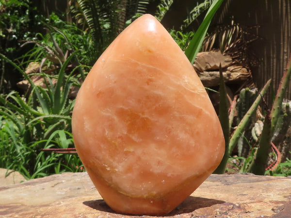 Polished Large Orange Twist Calcite Standing Free Form x 1 From Madagascar - TopRock