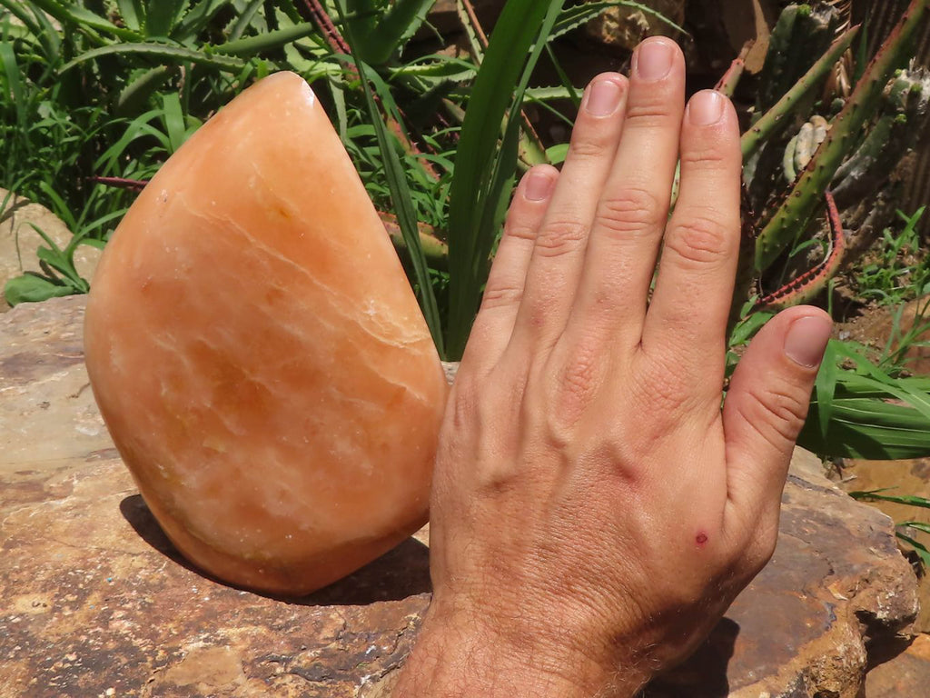 Polished Large Orange Twist Calcite Standing Free Form x 1 From Madagascar - TopRock