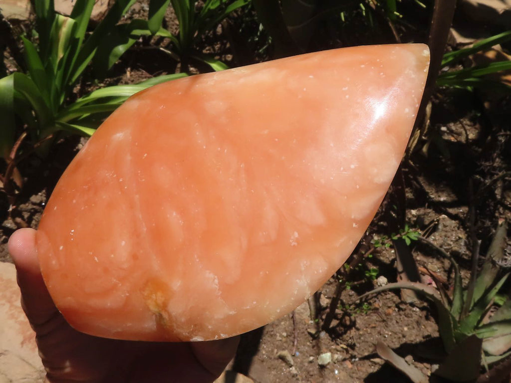 Polished Large Orange Twist Calcite Standing Free Form x 1 From Madagascar - TopRock