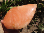 Polished Large Orange Twist Calcite Standing Free Form x 1 From Madagascar - TopRock